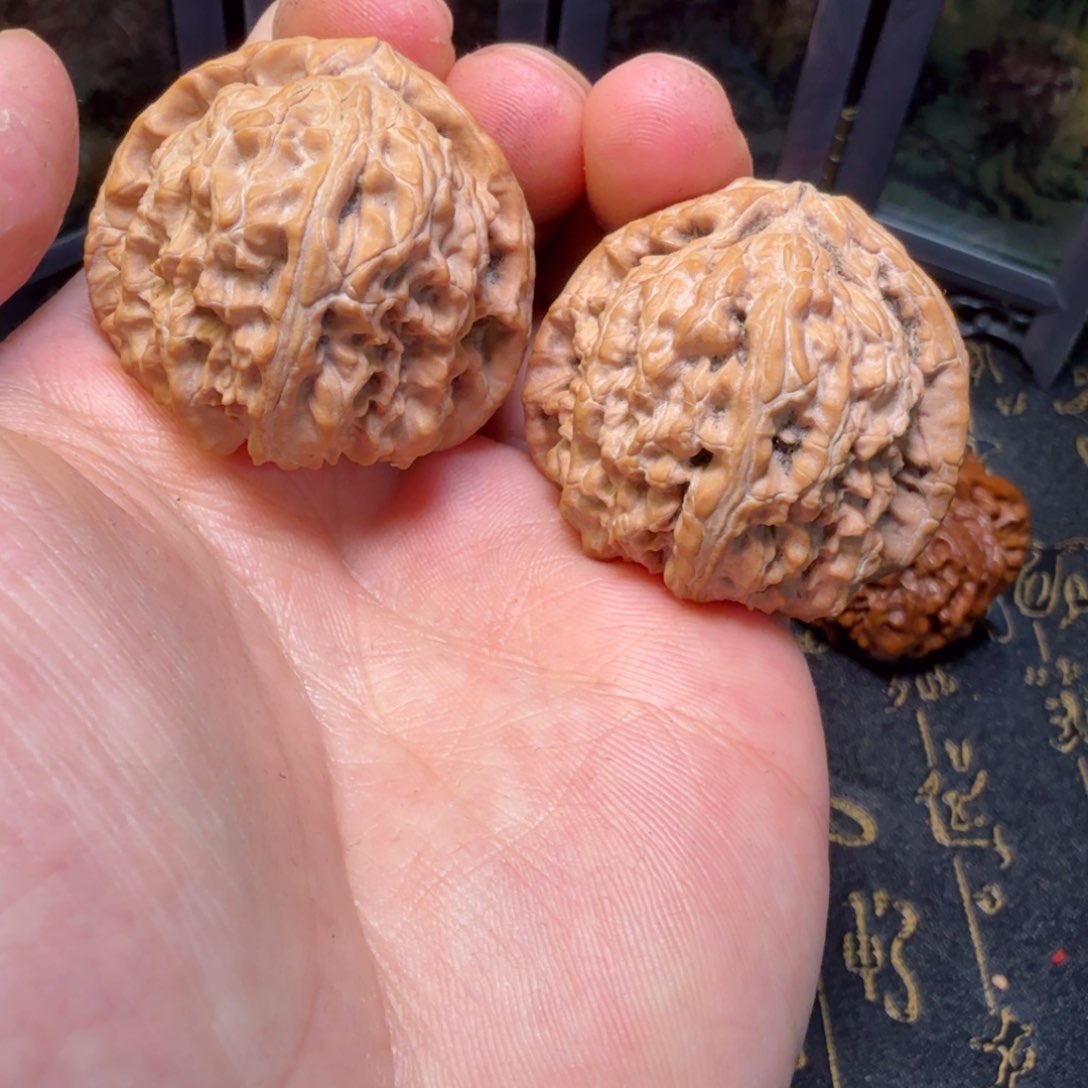 文玩核桃吊坠山西白狮子39