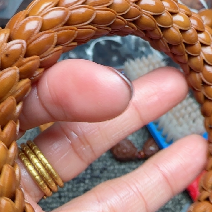 橄榄核手串橄榄菜等经济作物