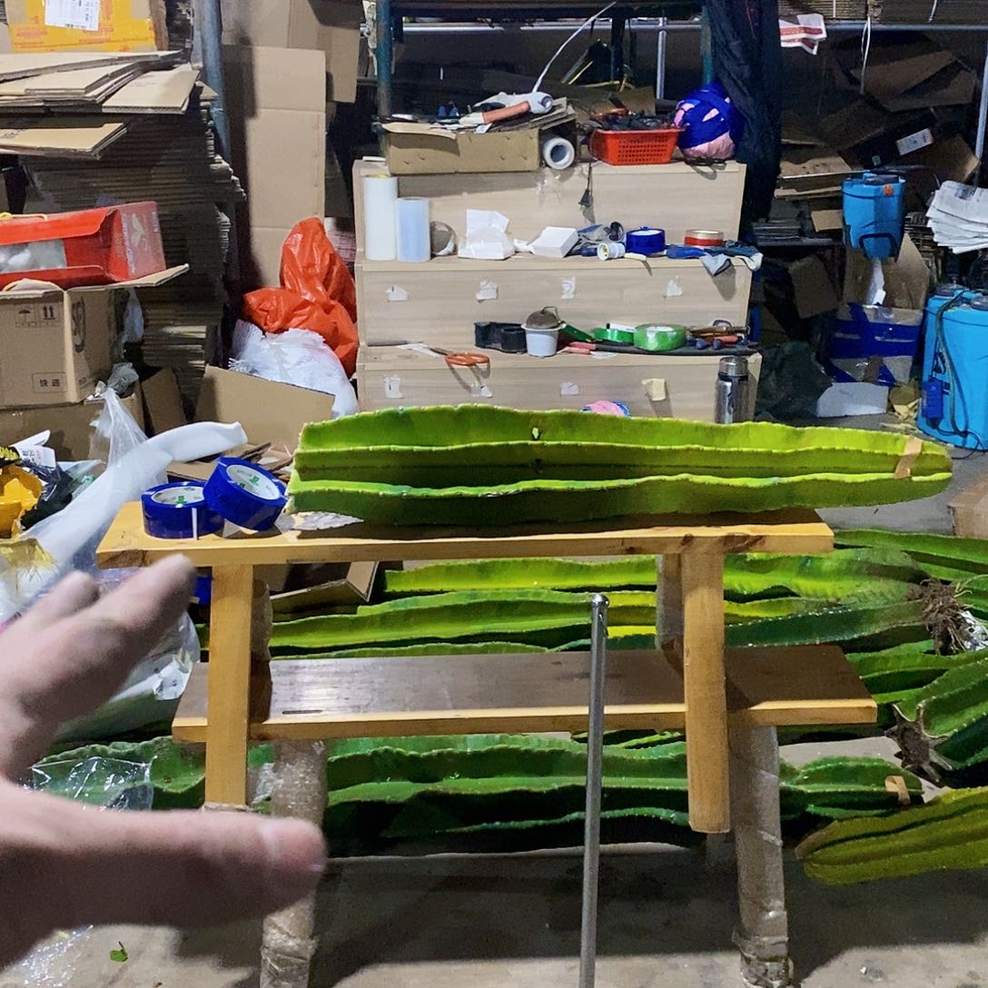 不是很旋秘鲁苹果高90公分现砍