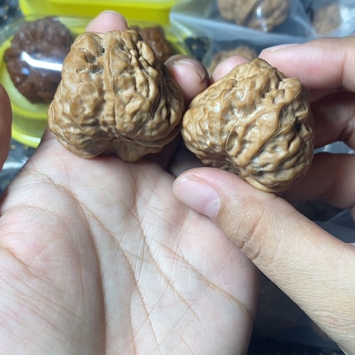 文玩核桃把件蛤蟆40全