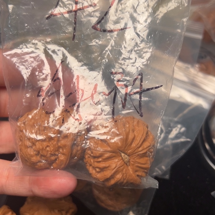 核桃球白，已打底，42