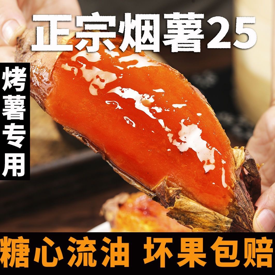 板栗蜜薯新鲜红薯沙地糖心地瓜非山东烟薯番薯25号烤红薯专用