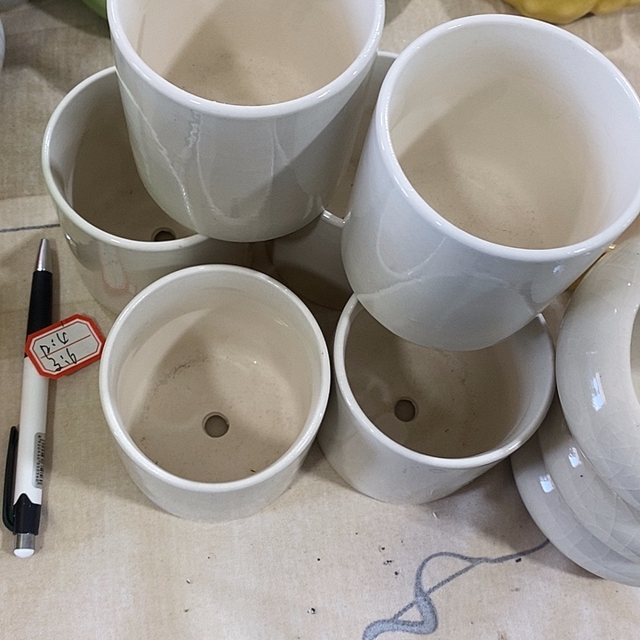 花盆抢购清货马上开始