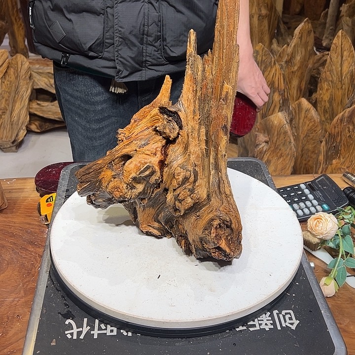 松木（琥珀木）兴***8