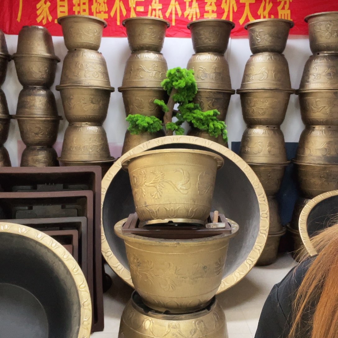 1个83盆栽！1个一米盆栽！有孔有孔！