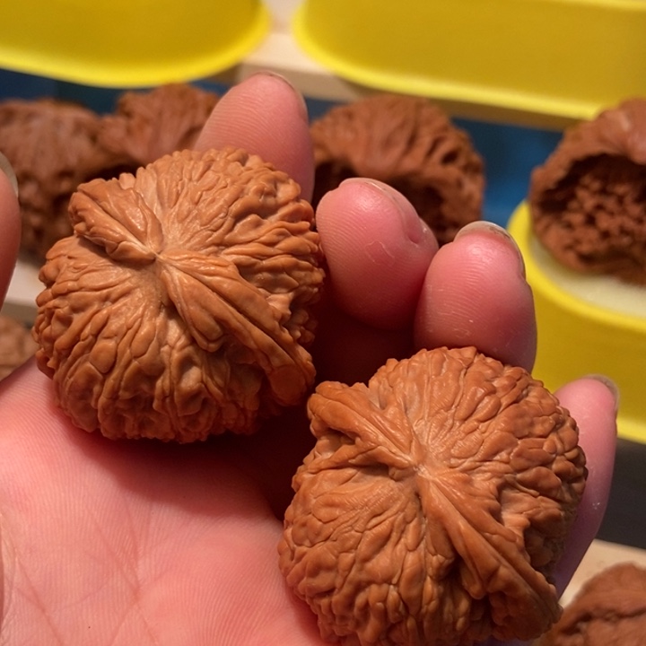 官方网站发布消息