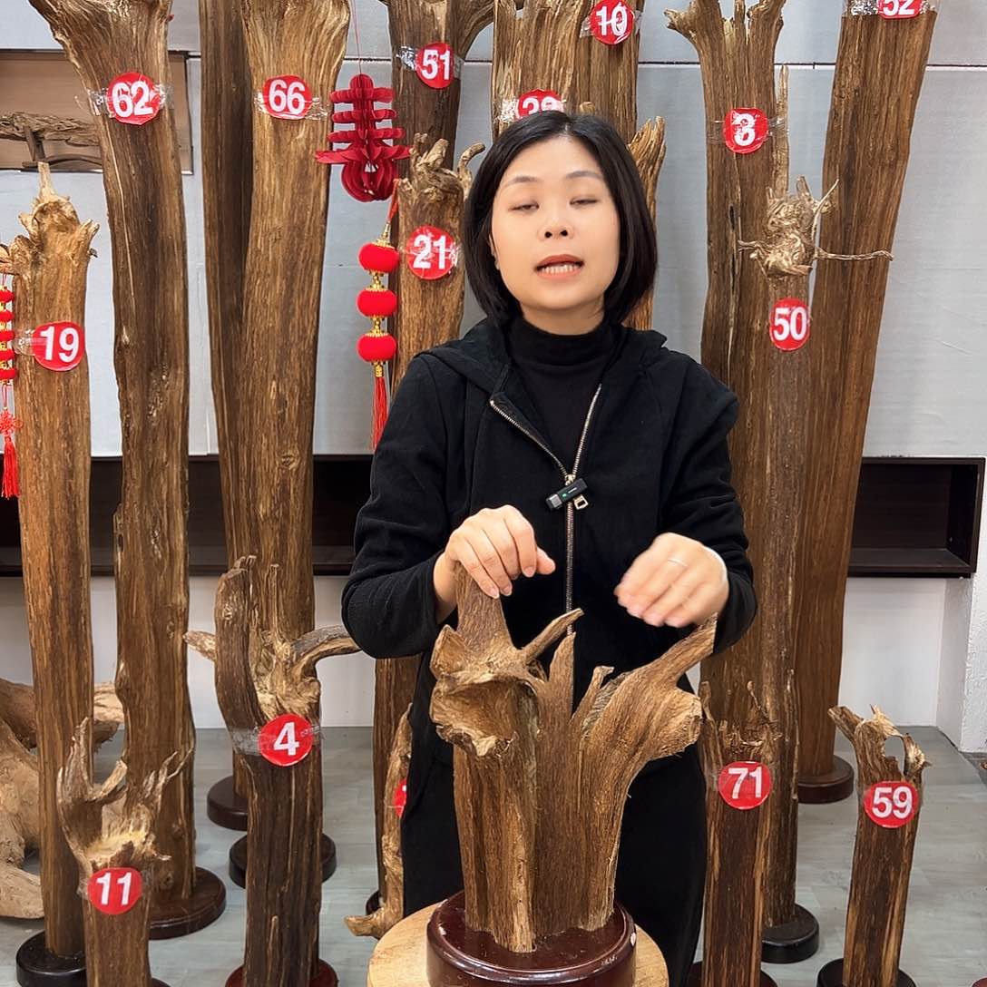 沉香摆件海南沉香摆件