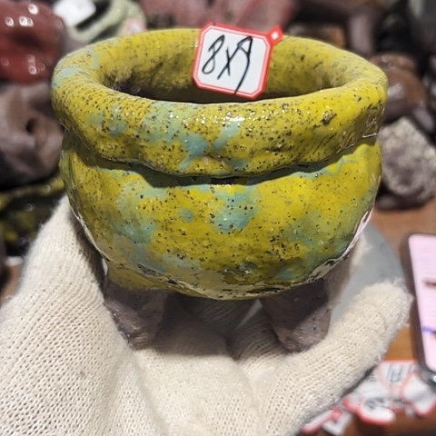 粗陶花盆，现在都不一样了