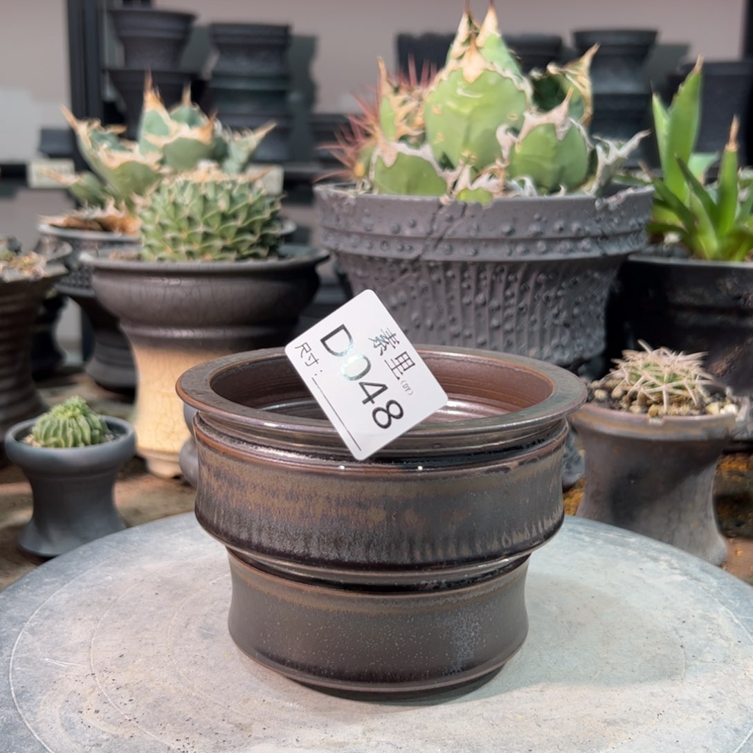 景德镇手工素里内口11.5高9