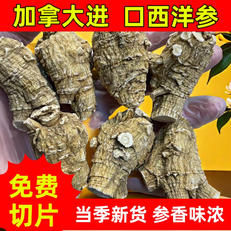 【加拿大西洋参】15克大参头软质 足龄老参 纹路清晰 可切片磨粉