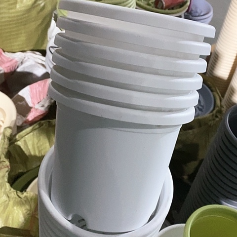 树脂四季2号6个无托白