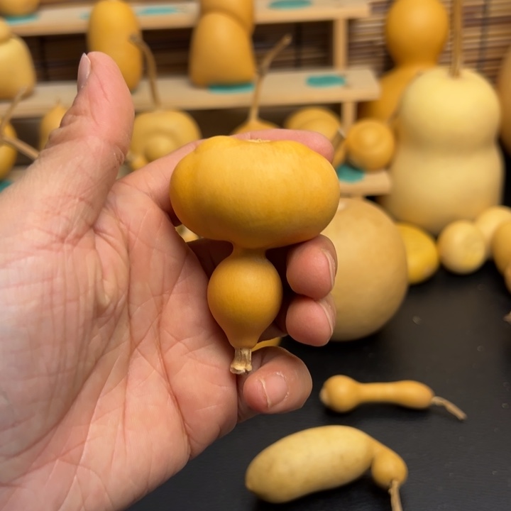 清**徐葫芦葫芦葫芦葫芦葫芦