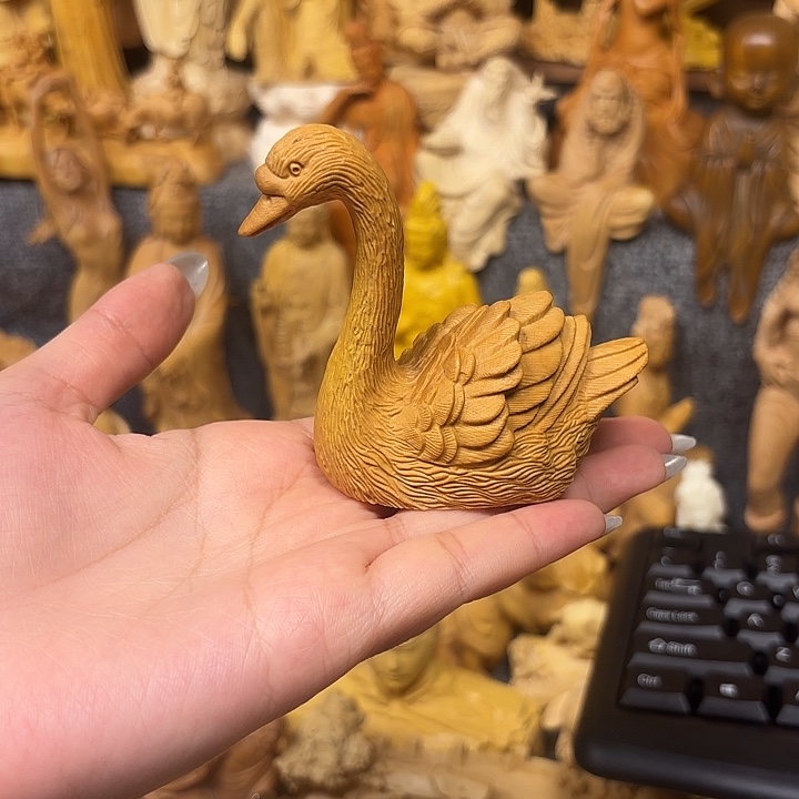 黄杨木黄杨木小叶瑕疵天鹅