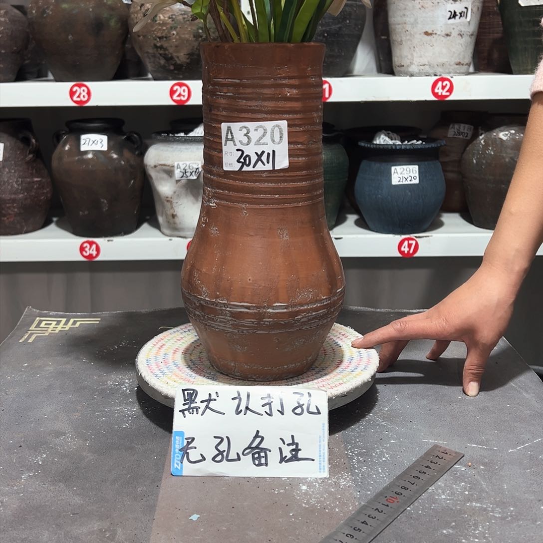 红陶99号无孔备注