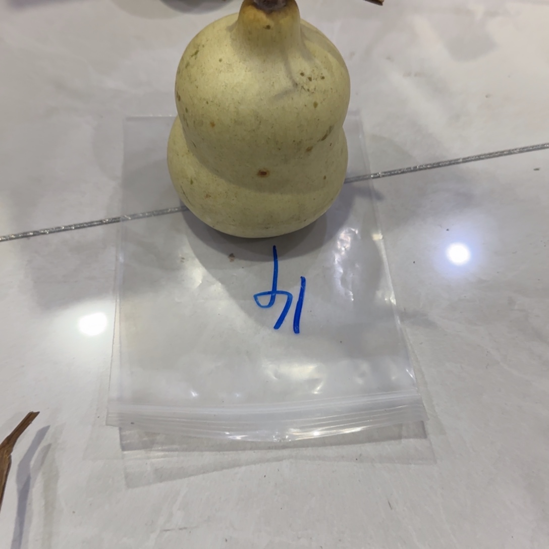 火***室青皮不包成青皮不包成