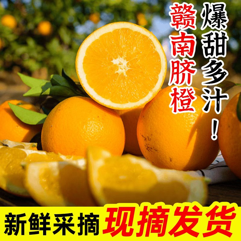 正宗江西赣南脐橙大果薄皮当季新鲜水果爆甜多汁产地直发