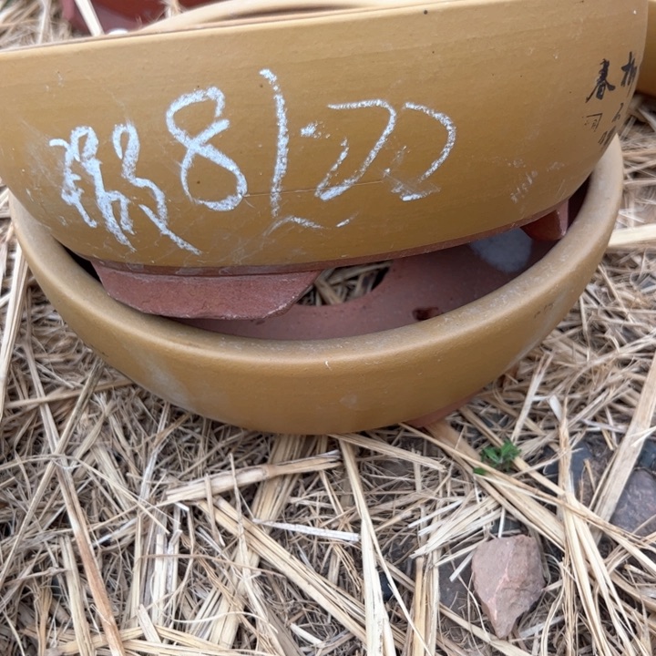 紫砂碗盆口22瑕疵