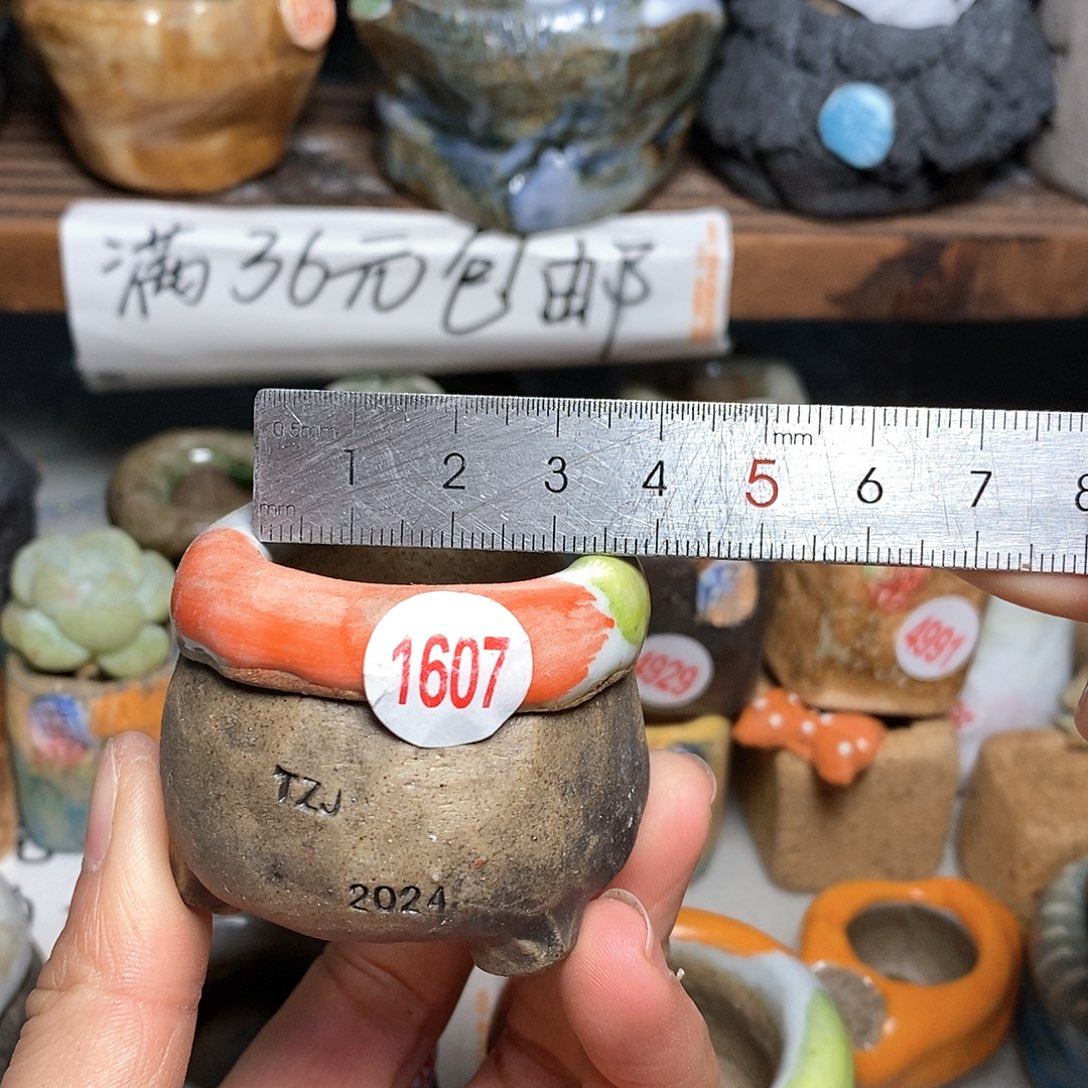 红陶拍5送一个小