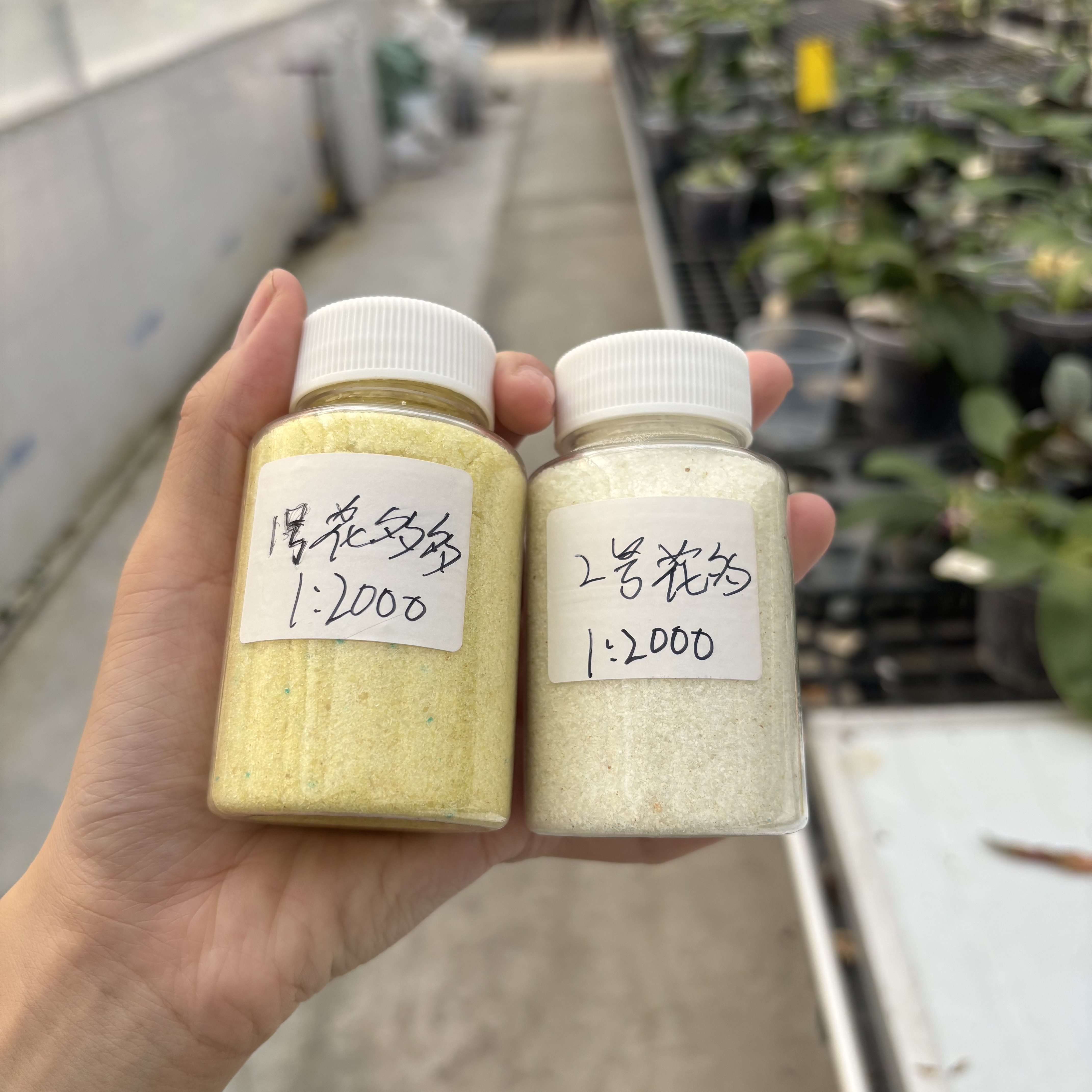 摇花多多 1 号、2 号肥料