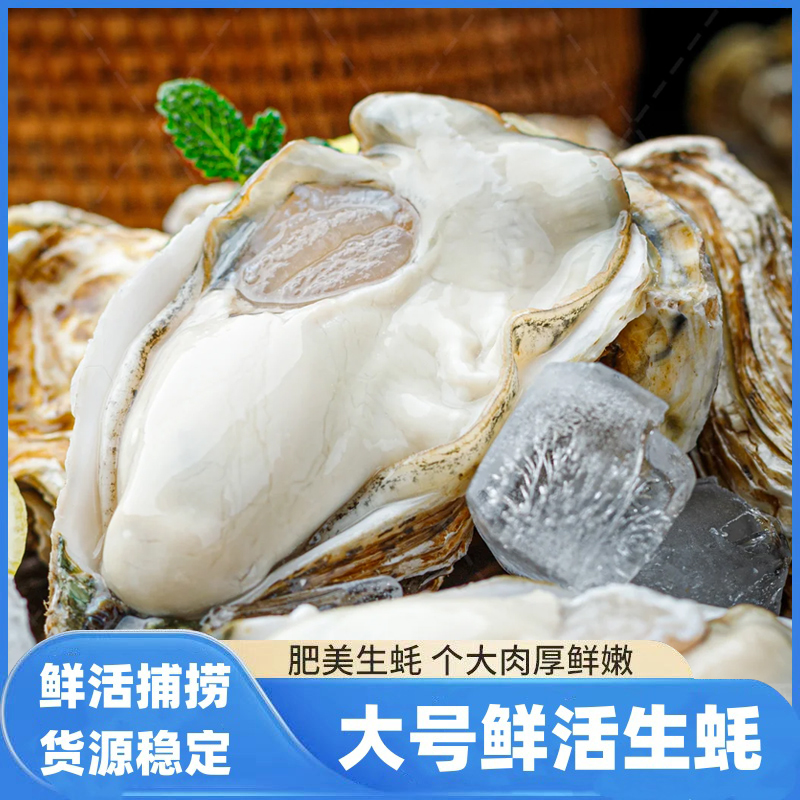 【乳山生蚝】买5斤送5斤源产地直发鲜活水产包鲜包活包肥冷链包邮