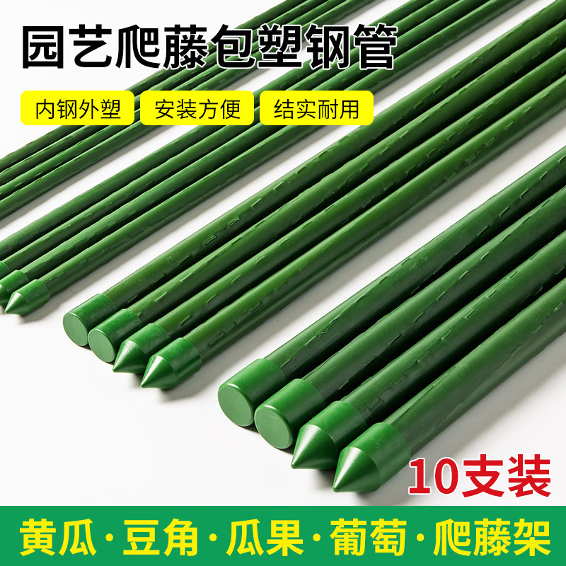 黄瓜豆角丝瓜爬藤架葡萄架瓜果蔬菜支撑杆花卉多功能花架支撑杆