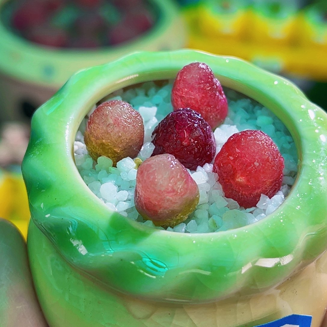 035灯泡连盆带土包邮