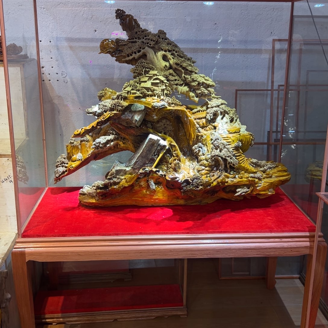 ****兔金丝楠金丝楠木小叶桢楠