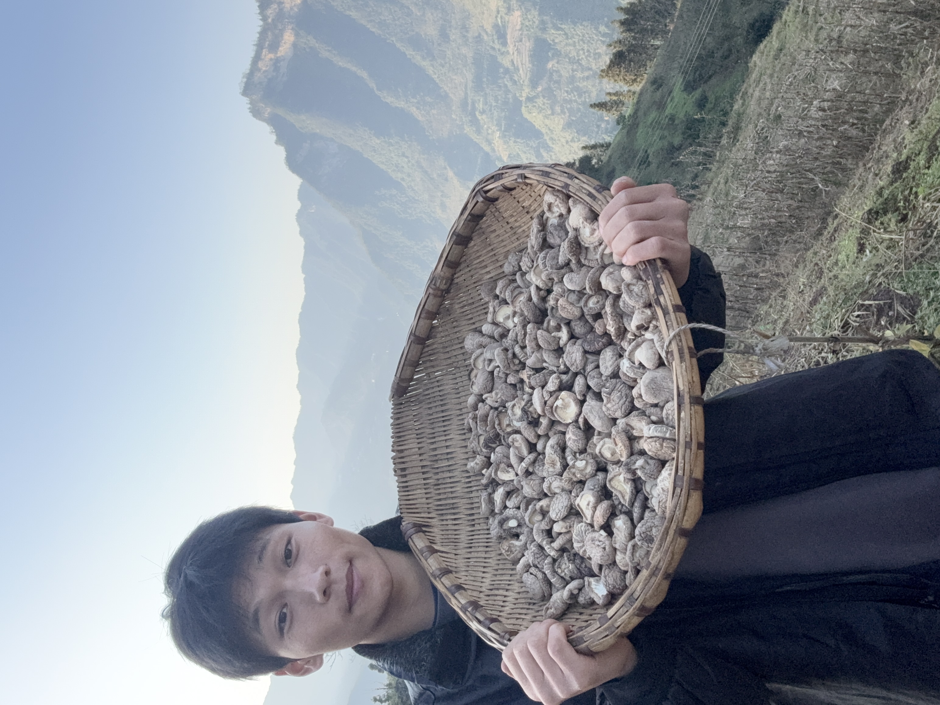 高山农家香菇干货