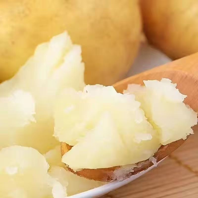土豆一斤现挖黄皮黄心