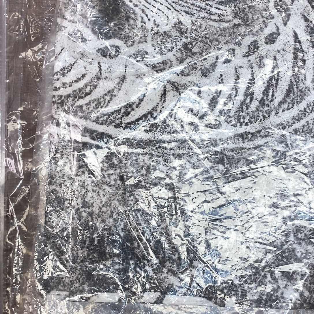 拓片用纸印石s**n明虎拓片