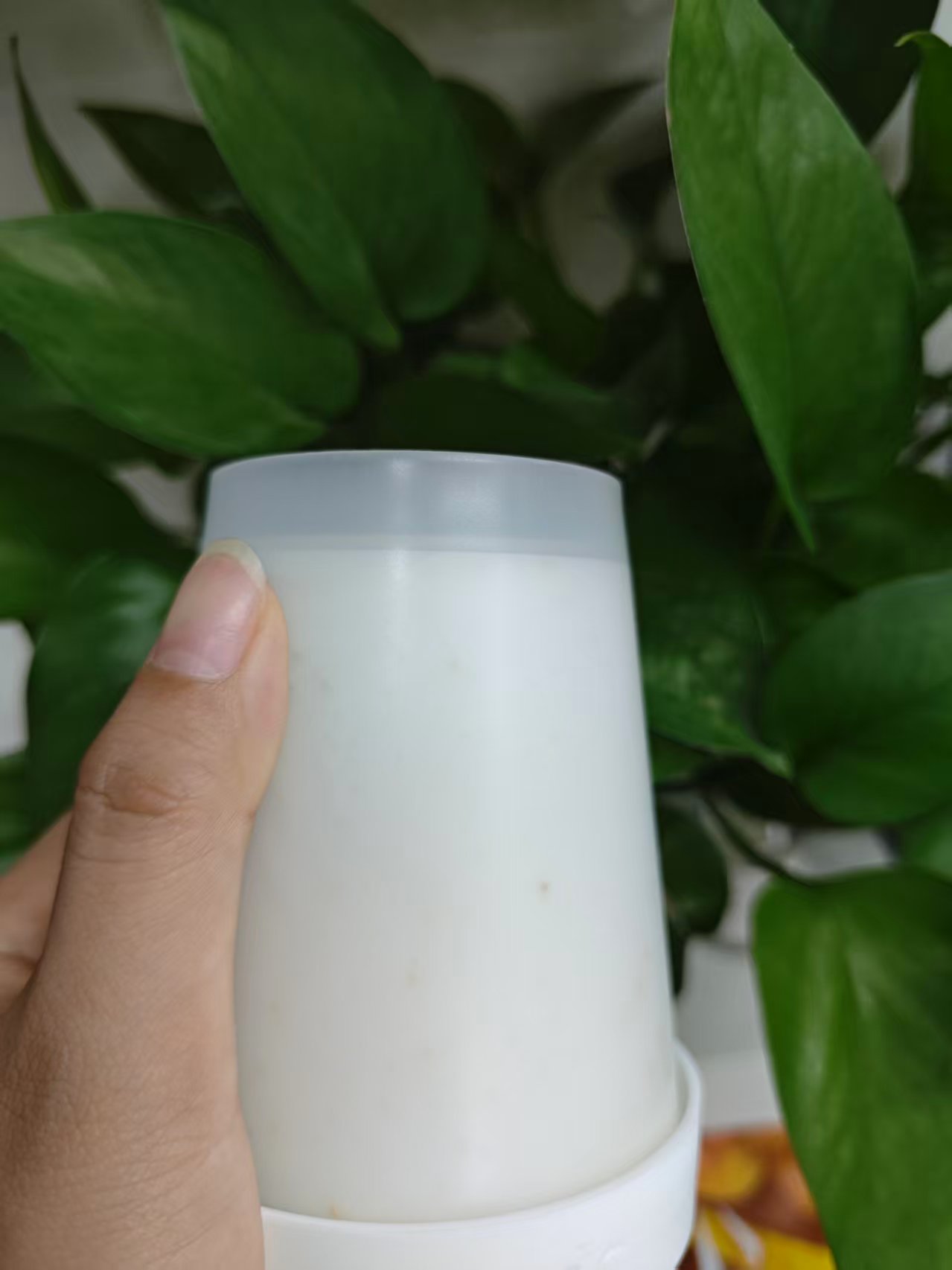 【言言分享诗诗】白色滋润柔顺丰盈护发素