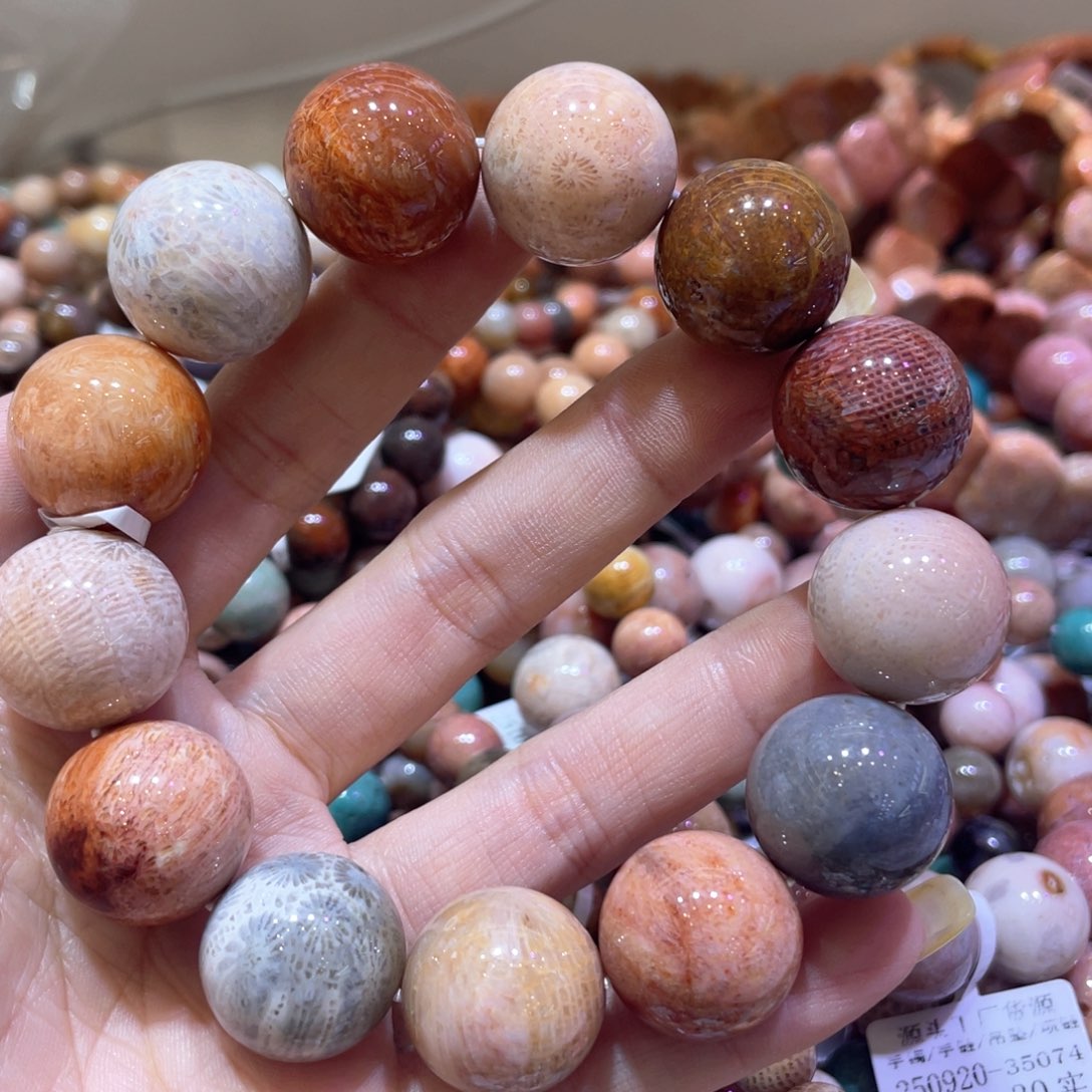 未镶嵌手链硅化珊瑚（珊瑚玉）088