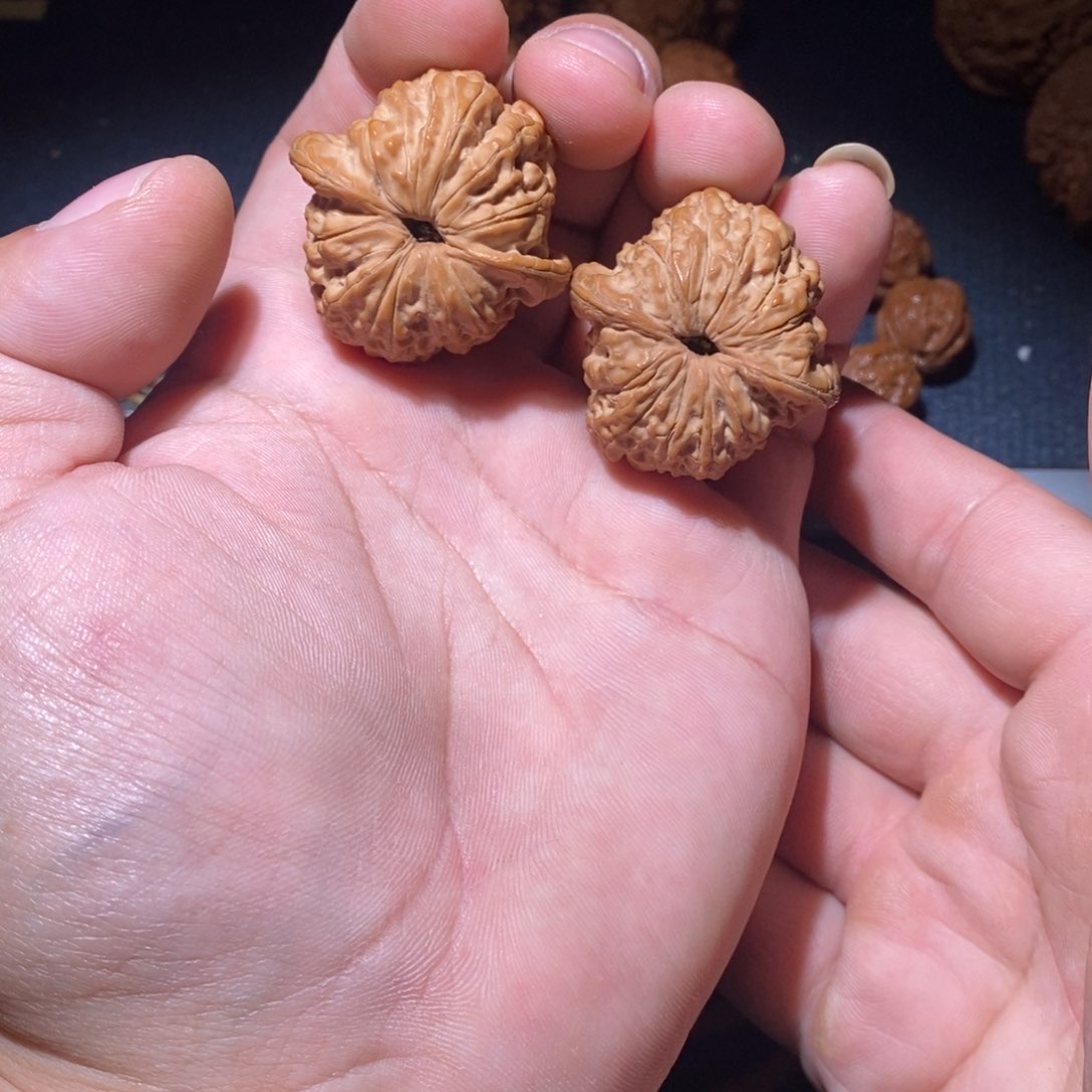 文玩核桃吊坠血麒麟