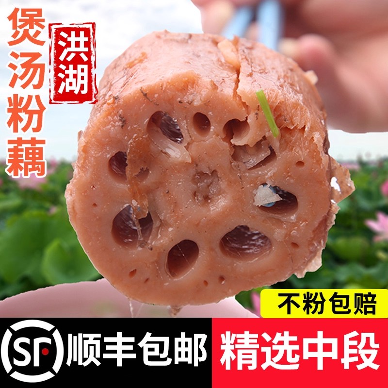 顺丰发货正宗洪湖莲仓红藕湖北现挖新鲜粉藕农家煲汤专用莲藕带泥
