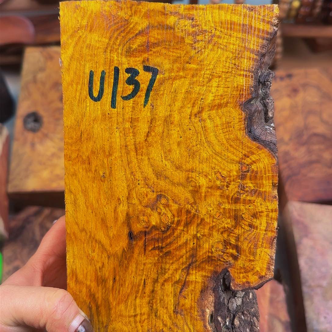 木真*金丝杜仲杜仲瘤疤料子