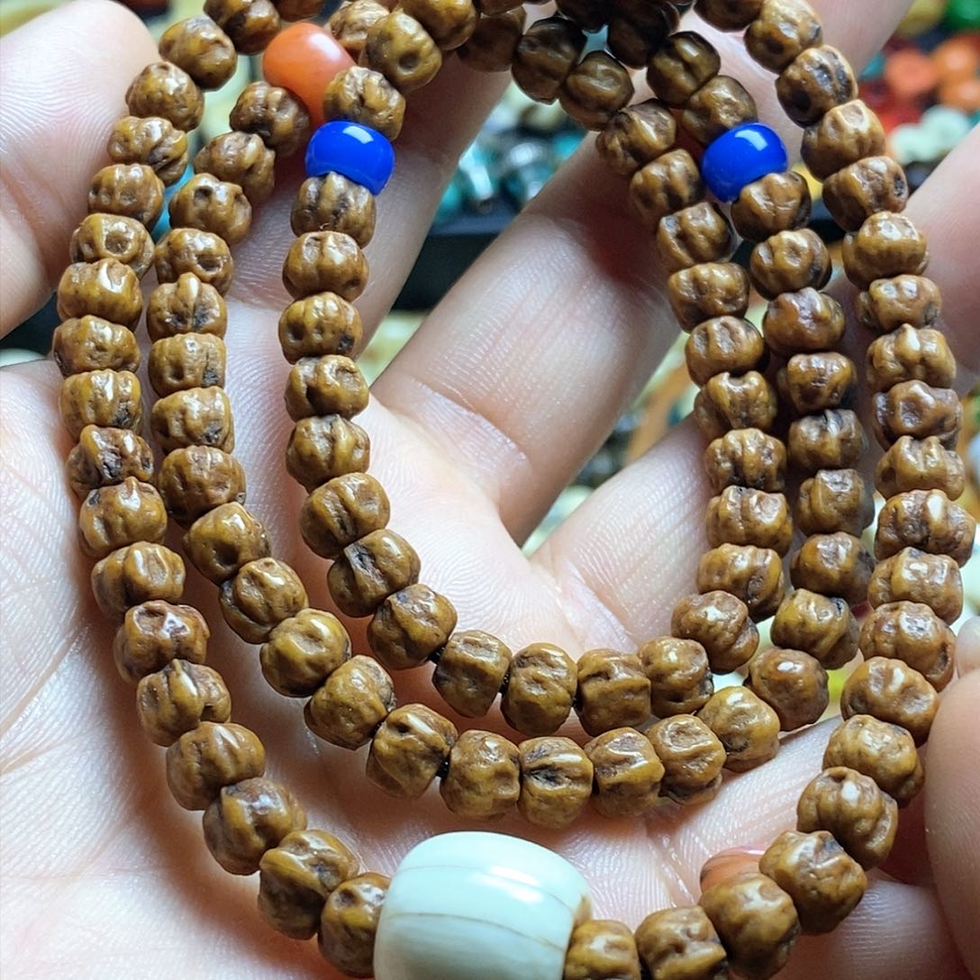 贝壳手串/手链……………………………………