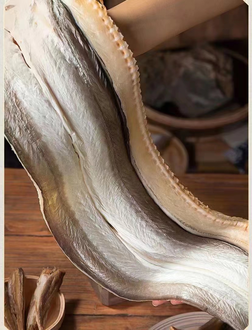 舟山捕鱼人野生苟鳗到手2.5斤左右收到湿的江浙沪包邮冷冻保存