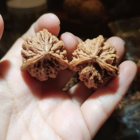 猴头核桃吊坠31盘山