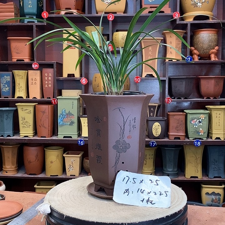 紫砂花盆紫砂花盆