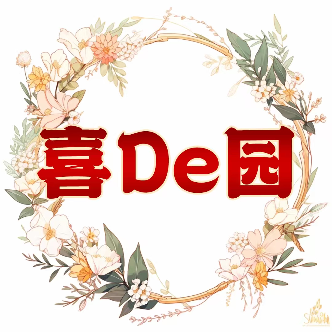 【喜De园】带果吉祥果绿植盆栽盆栽室内外好养绿植花卉年宵花盆景