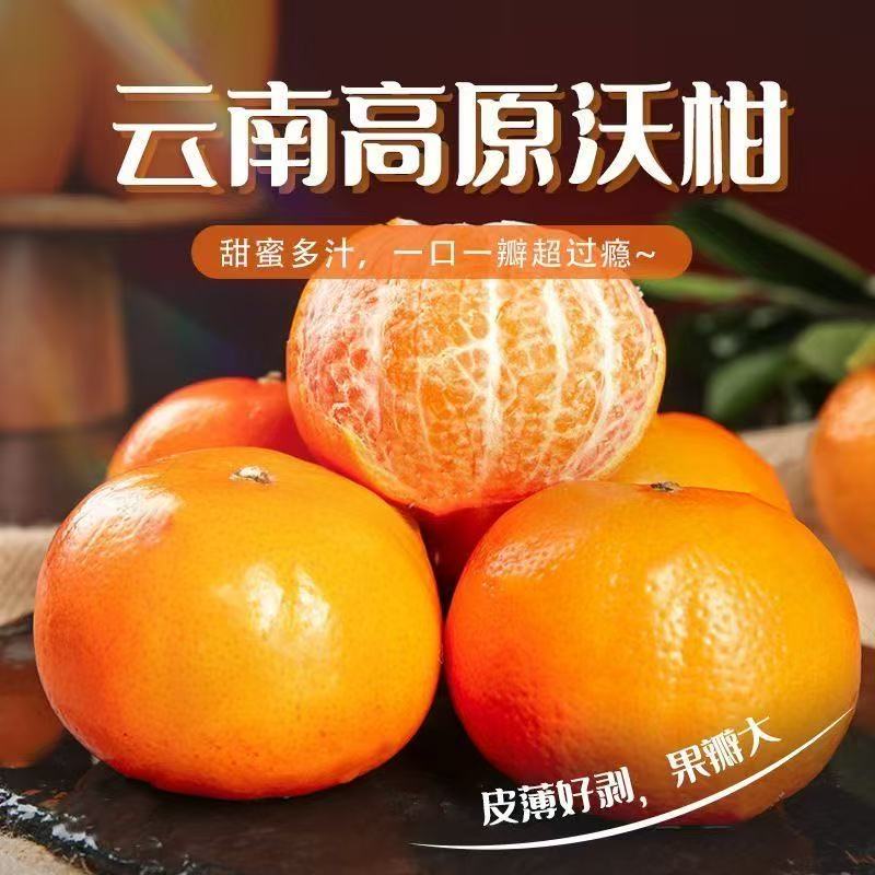 【多汁爆甜】cd正宗云南沃柑新鲜现发云南桔子超甜整箱约5斤10斤