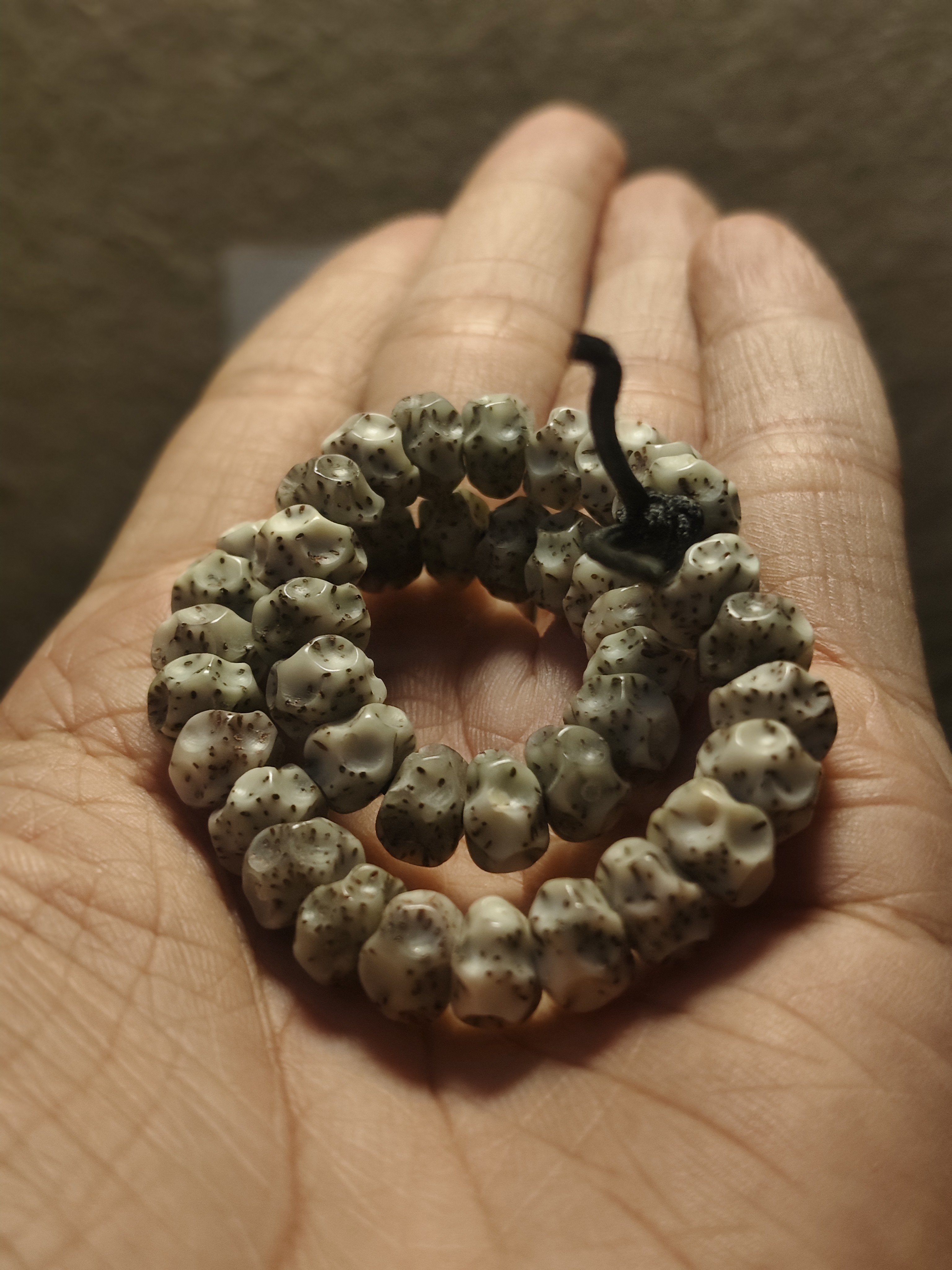 星月菩提无相大肠