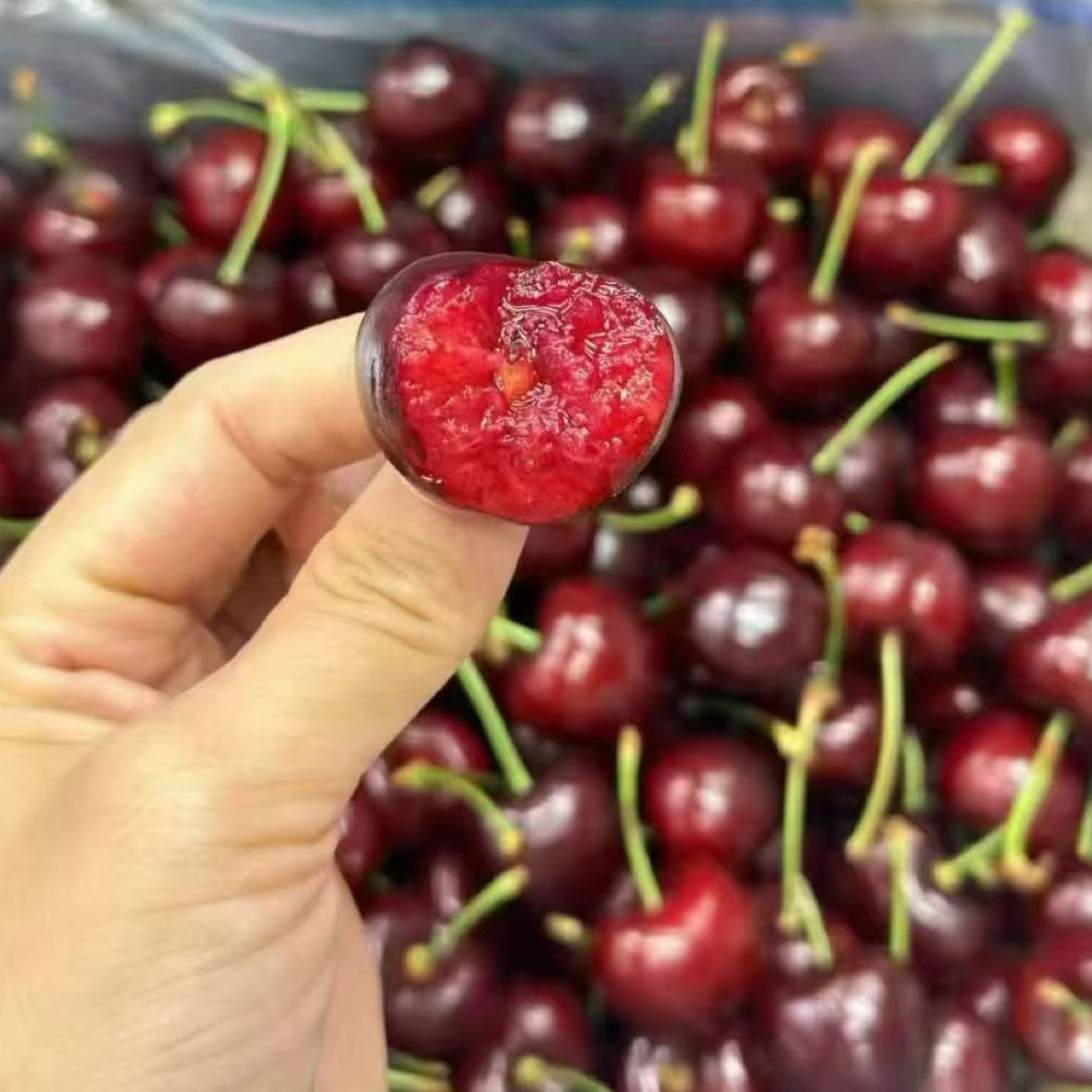 智利新鲜车厘子单J(1斤）小果  海运智利