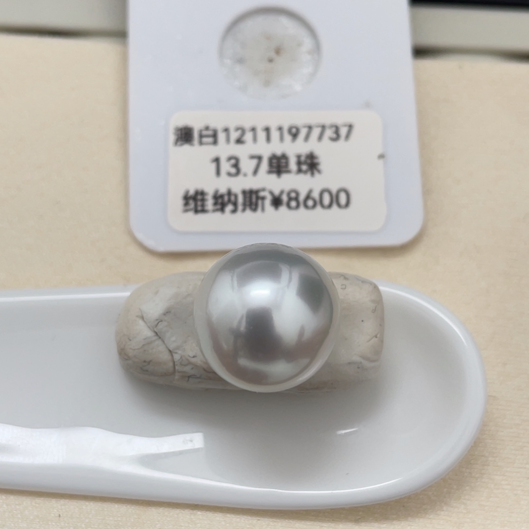海水珍珠耳饰未镶嵌大证维纳斯海水澳白可定制