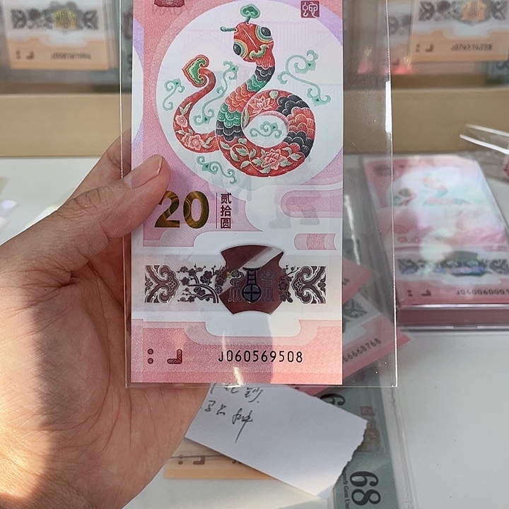 塑料蛇钞-9508—————————-