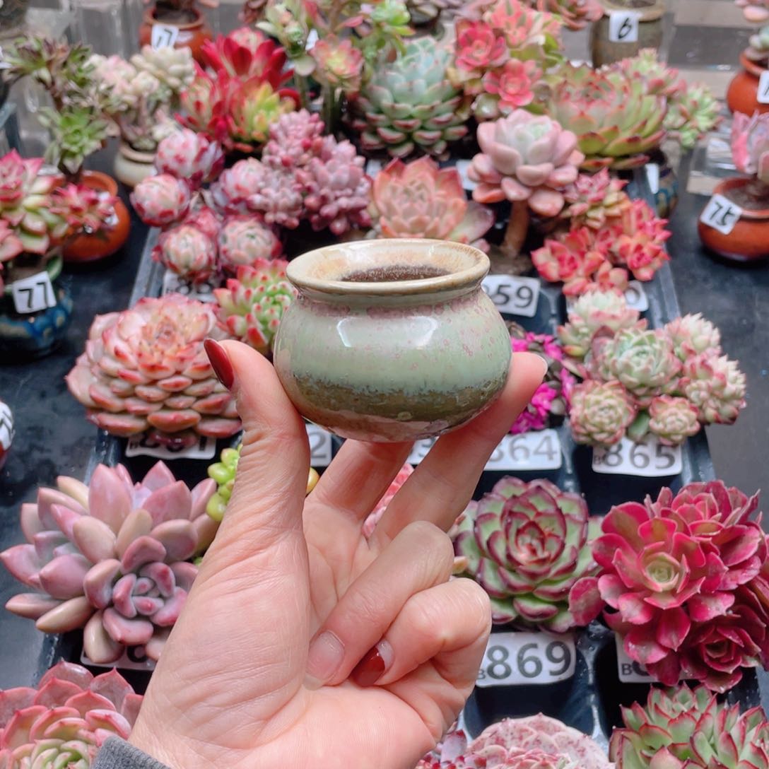 无铅玻璃7****花器花器花器花器