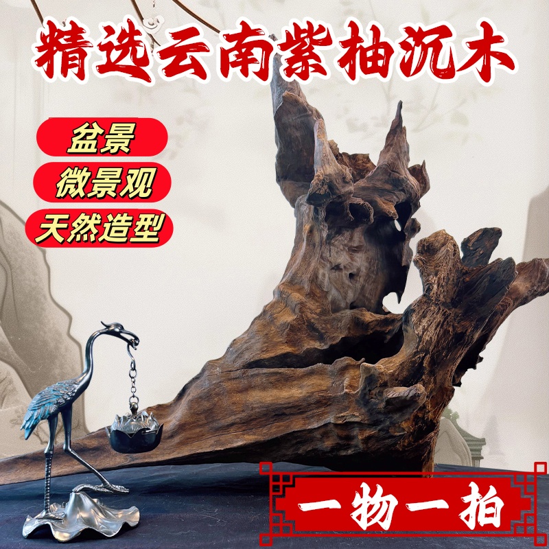 （直播下单专用链接）紫柚、绿皮刺 水族沉木 会黄水 不分需水泡