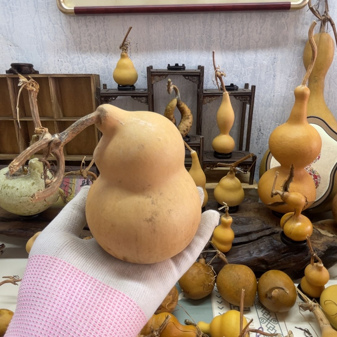 *****葫芦葫芦葫芦葫芦