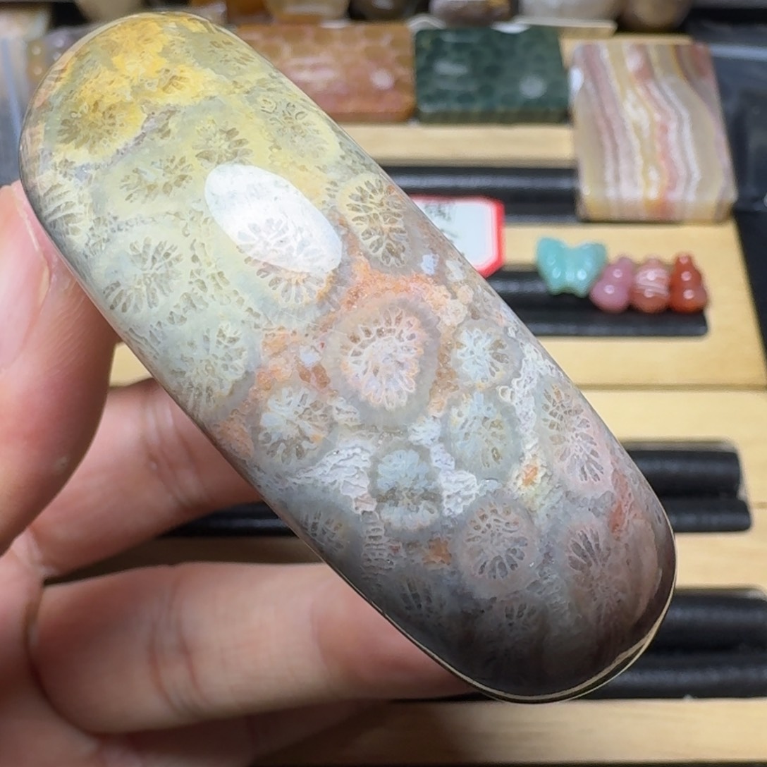 硅化玉纯天然色有机玉石未镶嵌54.5圈口