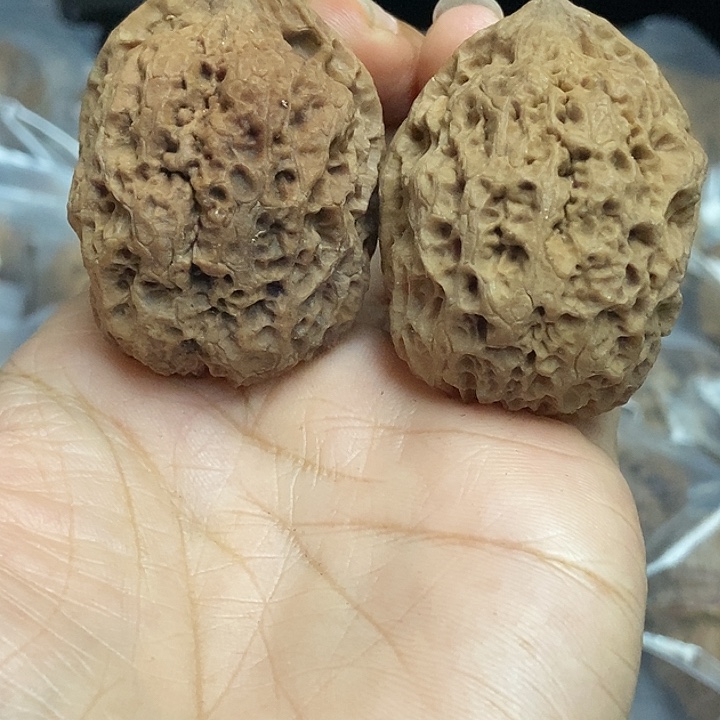 把件文玩核桃云南铁核桃基地99